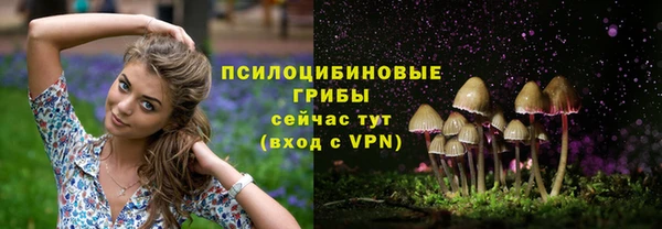 героин Алексин