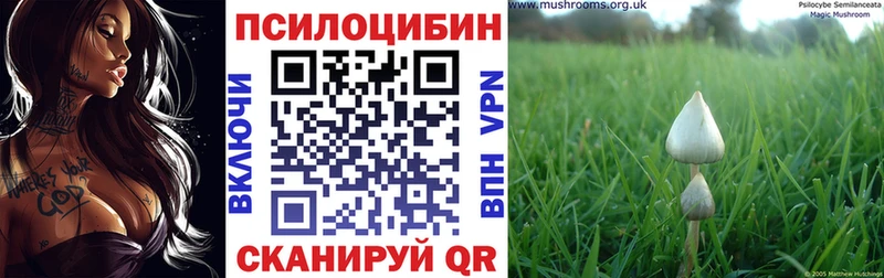 цены наркотик Томмот Псилоцибиновые грибы Magic Shrooms